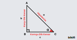 Dik Ucgende Trigonometri Bikifi