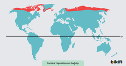 Tundra topraklarının dünya üzerindeki dağılımı