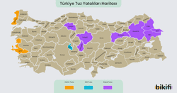 Tuz çıkarılan yerler