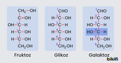 Glikoz Galaktoz Fruktoz Açık Formülleri 
