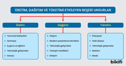 Üretim, dağıtım ve tüketimi etkileyen beşeri unsurların sınıflandırılması