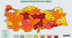 Türkiye Buğday Üretimi Haritası