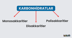karbonhidratların sınıflandırılması