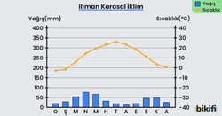 Ilıman karasal iklimin yağış ve sıcaklık grafiği