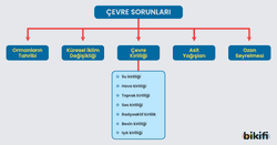 Çevre sorunlarının sınıflandırılması