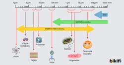 Nanoteknolojinin Ölçek Cetveli