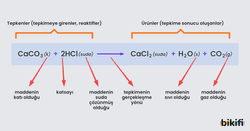 Tepkime Denkleminin Bileşenleri