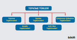 Tepkime Türleri