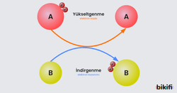 İndirgenme-Yükseltgenme Tepkimesi