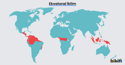Ekvatoral iklimin dünya üzerinde görüldüğü alanlar