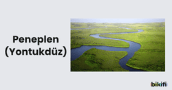 Peneplen (Yontukdüz)