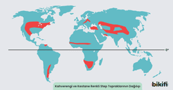 Kahverengi ve Kestane Renkli Step topraklarının dünya üzerindeki dağılımı