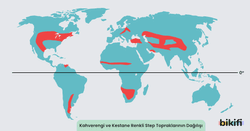 Kahverengi ve Kestane Renkli Step topraklarının dünya üzerindeki dağılımı