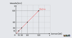 Doğrusal Referans Fonksiyon
