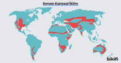 ılıman karasal iklimin dünya üzerinde görüldüğü alanlar