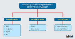 Biyoçeşitliliği oluşturan ve değiştiren etmenler