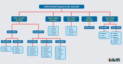 Dünyadaki Başlıca Dil Aileleri