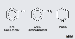 Anilin - Fenol ve Piridin