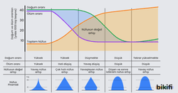 Demografik Dönüşüm Modeli, Ülkelerin gelişme ve kalkınma sürecine bağlı olarak ortaya çıkan bu durum