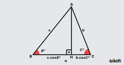 Kosinüs Teoremi Trigonometri Yöntemi ile İspat