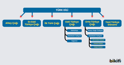 Türkçenin Tarihsel Gelişimi - Bikifi