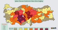 Türkiye Şeker Pancarı Üretimi Haritası