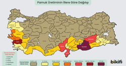 Türkiye'de pamuk yetiştirilen yerler