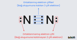 N2 molekülündeki ortaklanmış ve ortaklanmamış elektron çiftleri