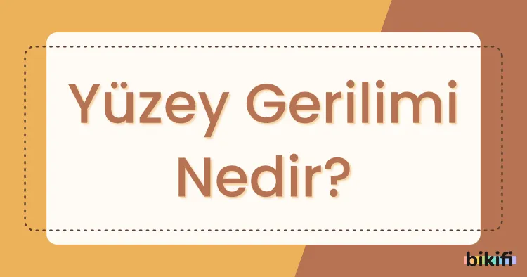 Yüzey Gerilimi Nedir?