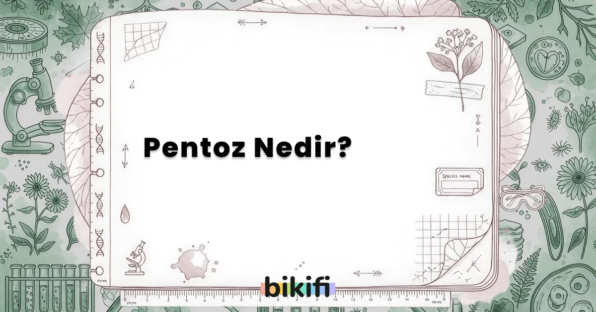 Pentoz Nedir?