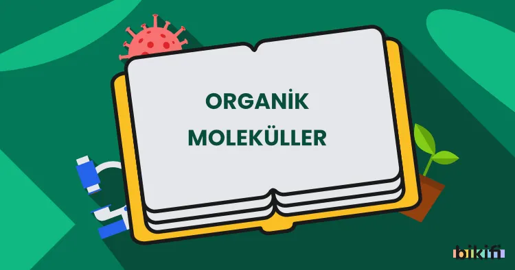 Organik Moleküller