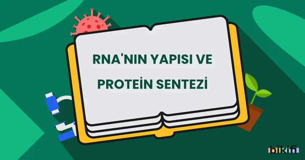 RNA’nın Yapısı ve Protein Sentezi