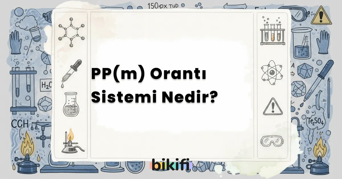 PP(m) Orantı Sistemi Nedir?