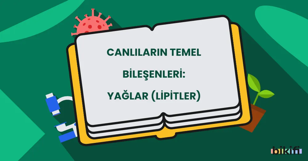 Canlıların Temel Bileşenleri: Yağlar (Lipitler)