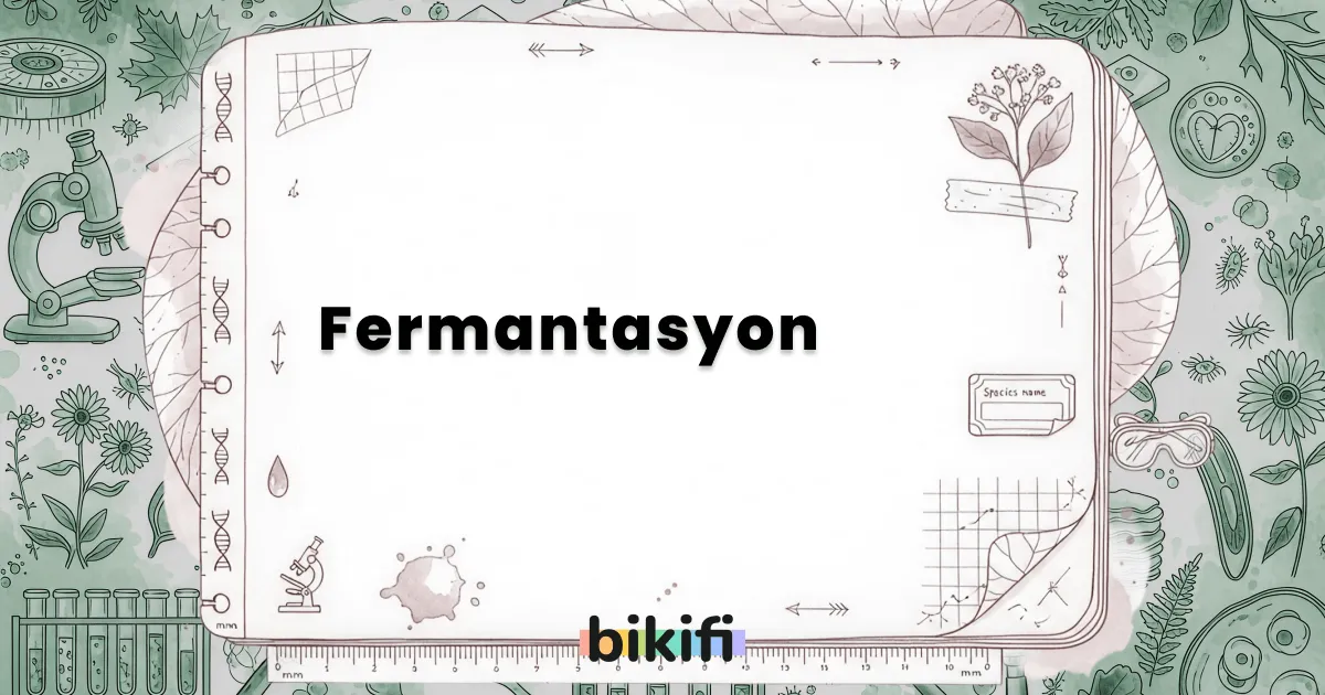 Fermantasyon