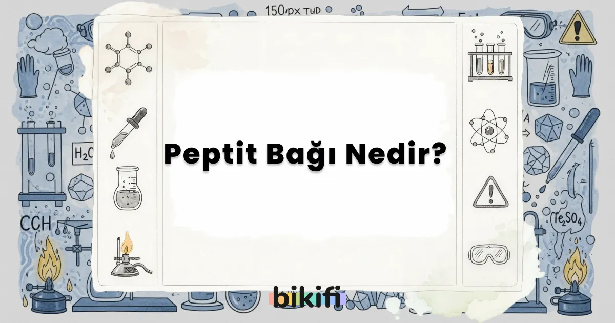 Peptit Bağı Nedir?