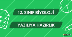 12. Sınıf Biyoloji: Yazılıya Hazırlık - Bikifi