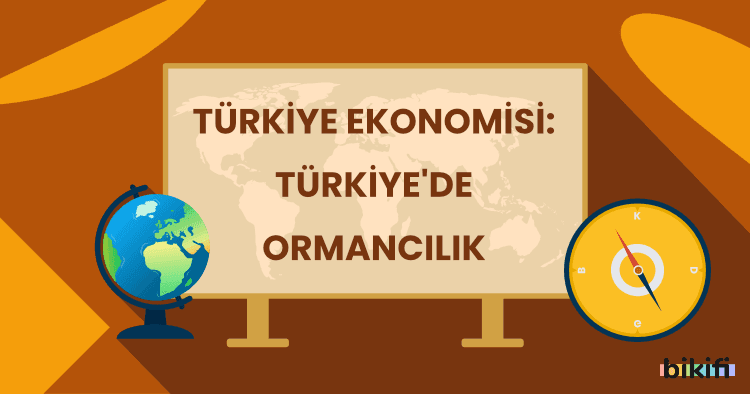Türkiye Ekonomisi: Türkiye’de Ormancılık
