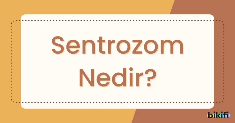 Sentrozom Nedir?