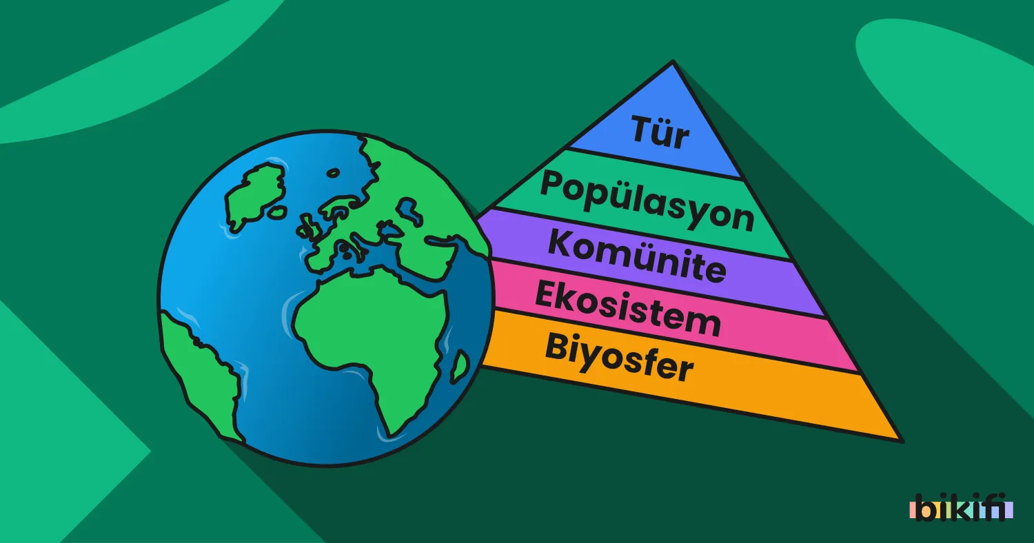 10. Sınıf Ekosistem Ekolojisi ve Güncel Çevre Sorunları