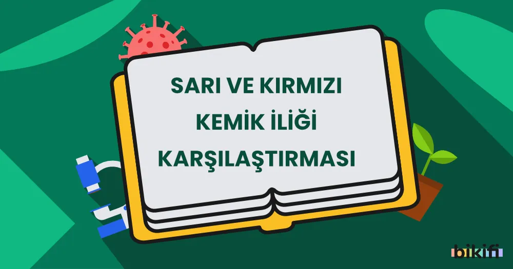 Sarı ve Kırmızı Kemik İliği Karşılaştırması