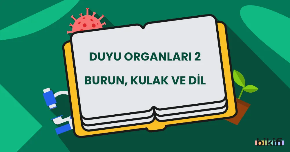 Duyu Organları II: Burun, Kulak ve Dil