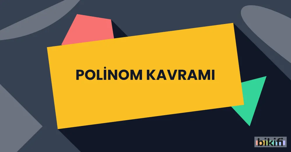 Polinom Kavramı