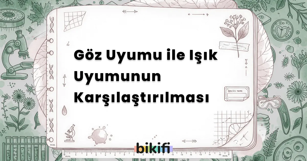 Göz Uyumu ile Işık Uyumunun Karşılaştırılması