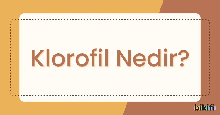 Klorofil Nedir?