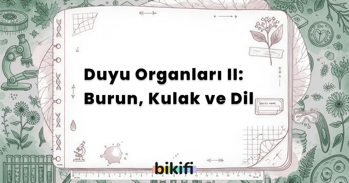 Duyu Organları II: Burun, Kulak ve Dil
