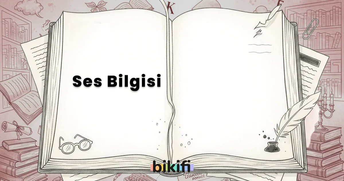 Ses Bilgisi