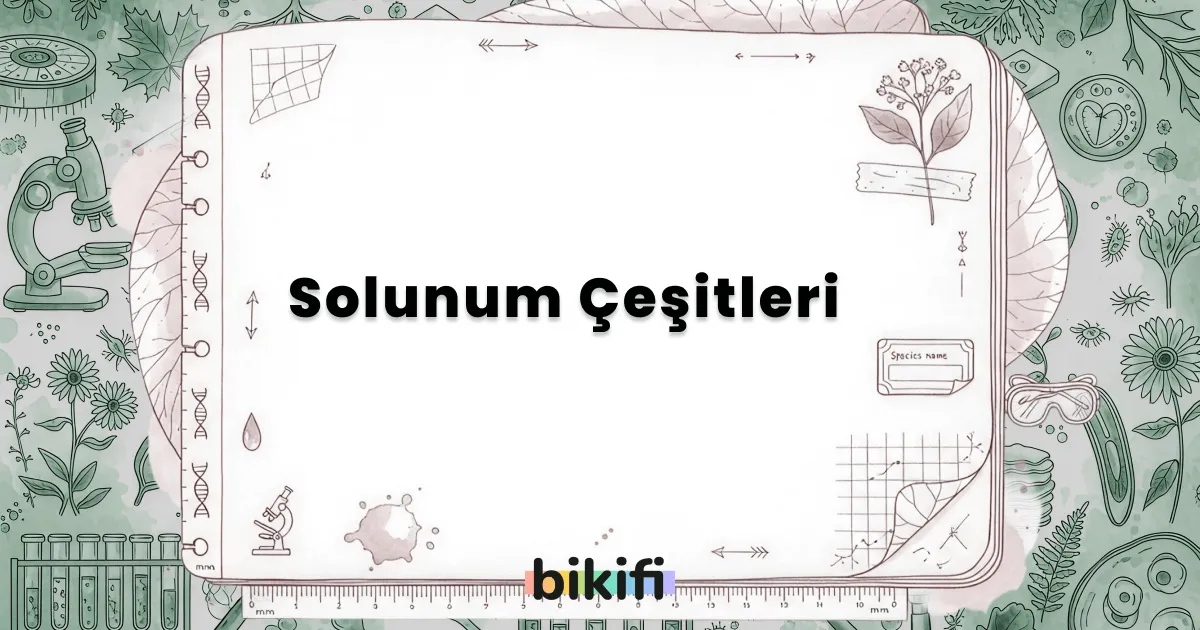 Solunum Çeşitleri