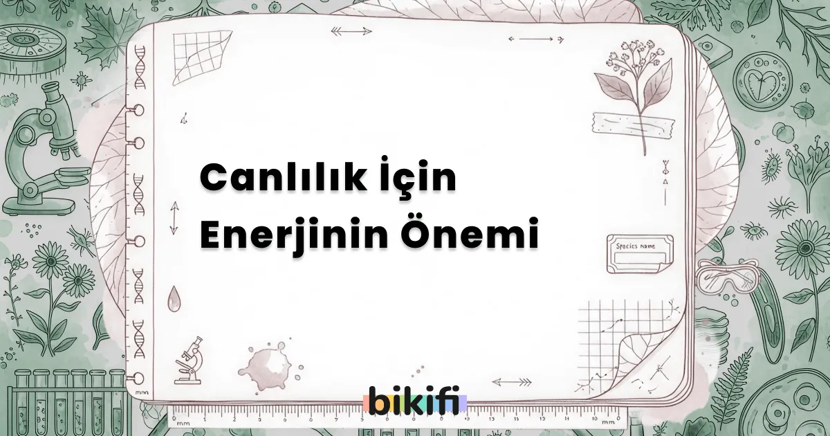 Canlılık İçin Enerjinin Önemi