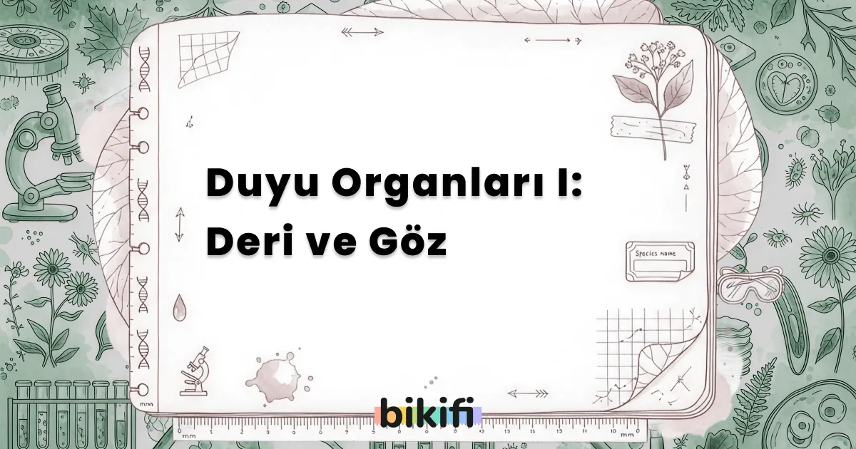 Duyu Organları I: Deri ve Göz
